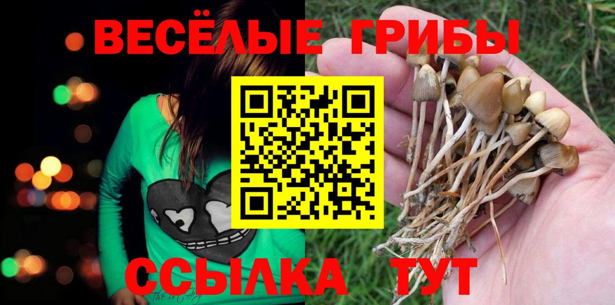 купить  цена  Галлюциногенные грибы ЛСД  Вход с VPN  Саяногорск 
